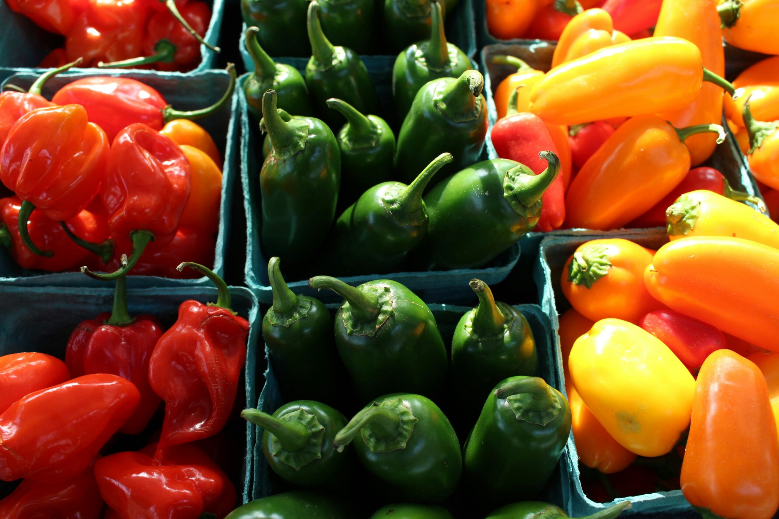 red green and yellow peppers
