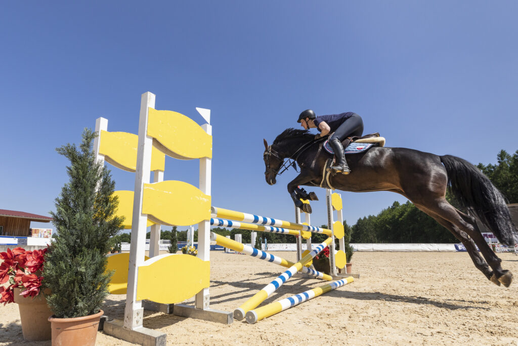 female show jumper on a black mare