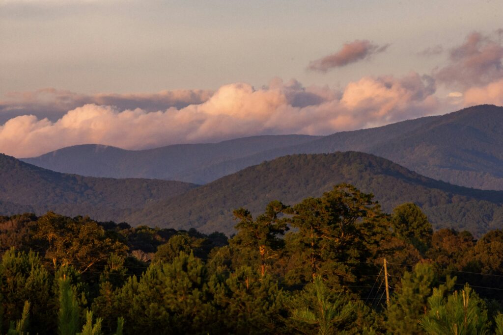 forested mountains and sky