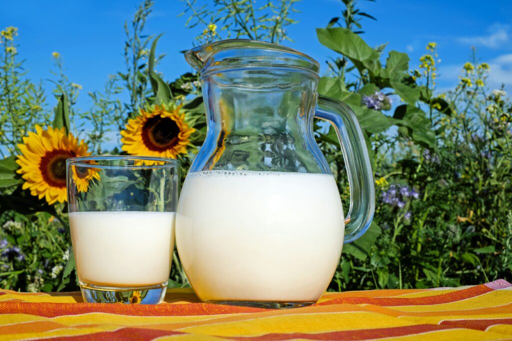 milk pitcher